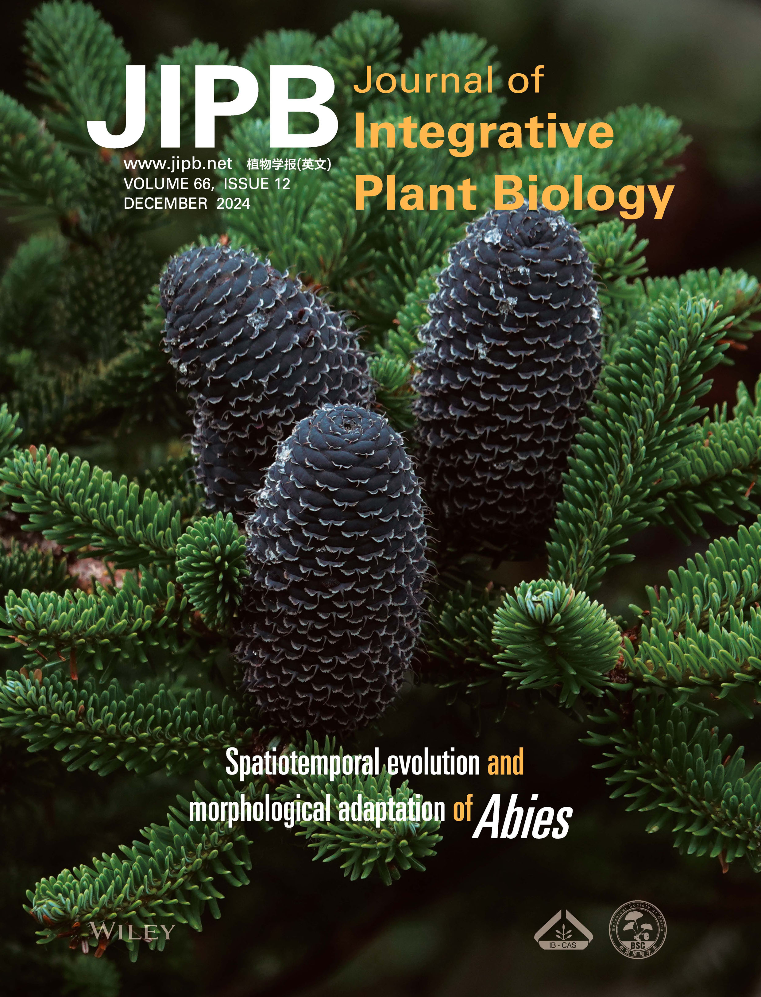 主编：巩志忠、种康