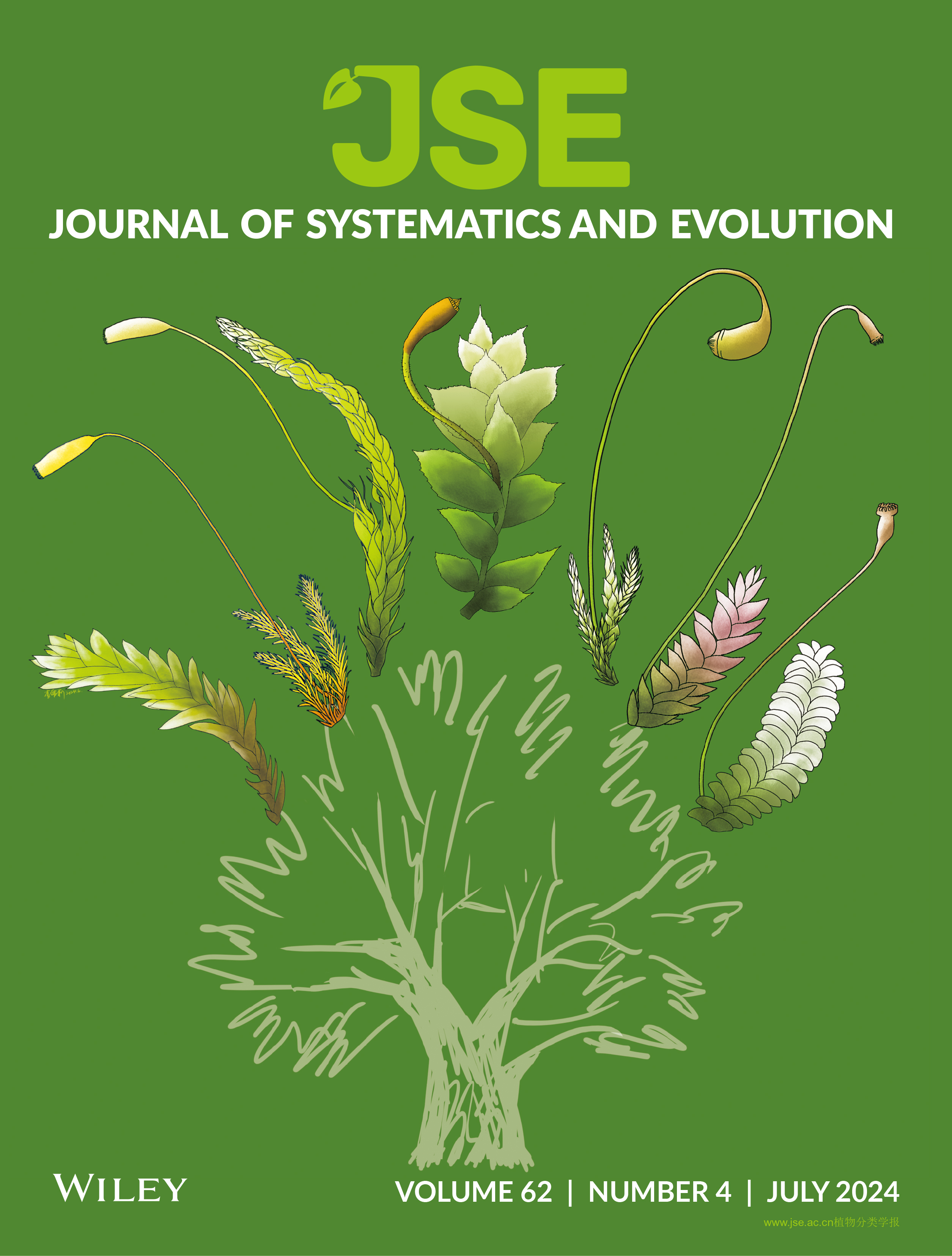 主编：孔宏智、马红